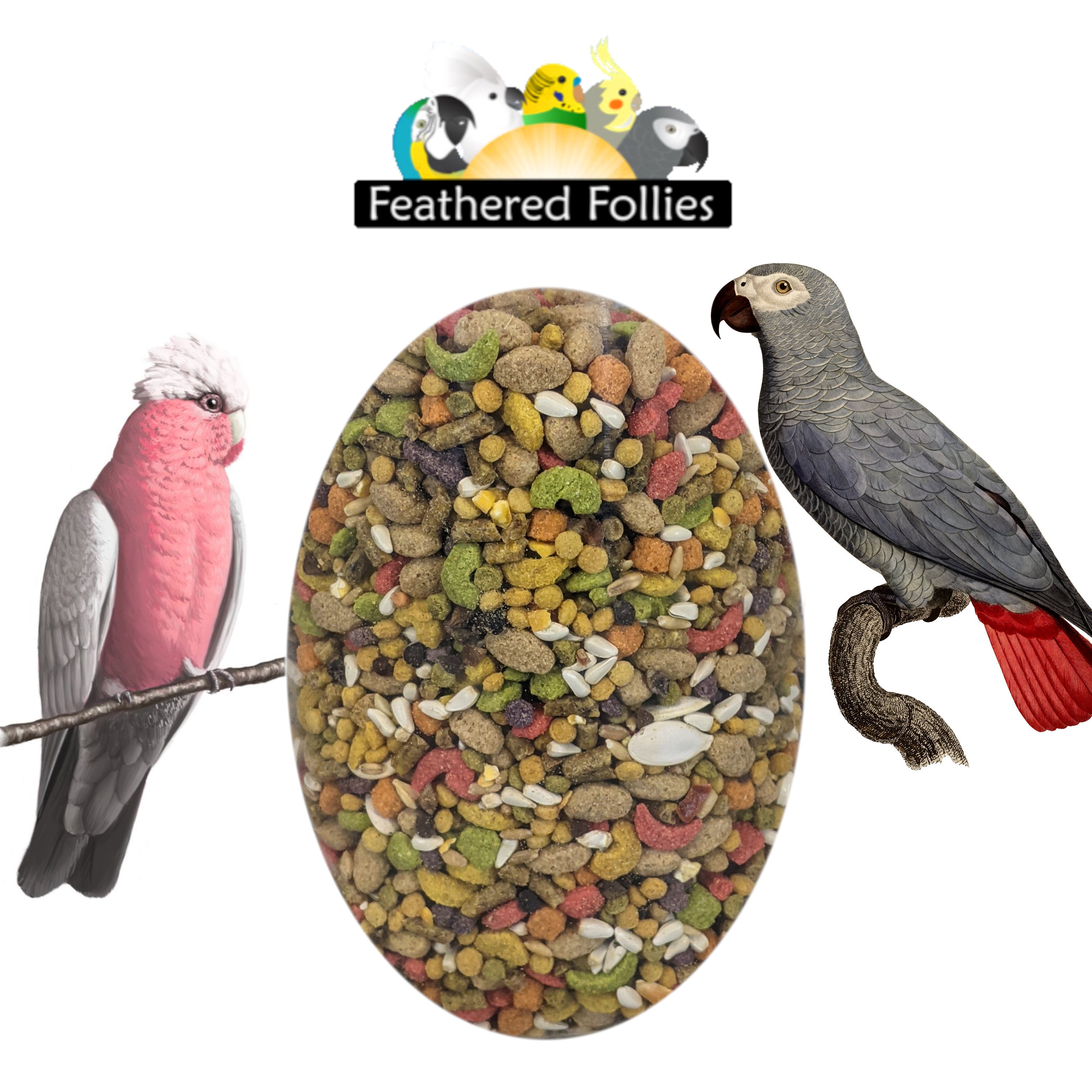 Bulk Feathered Follies Mix Medium/Large