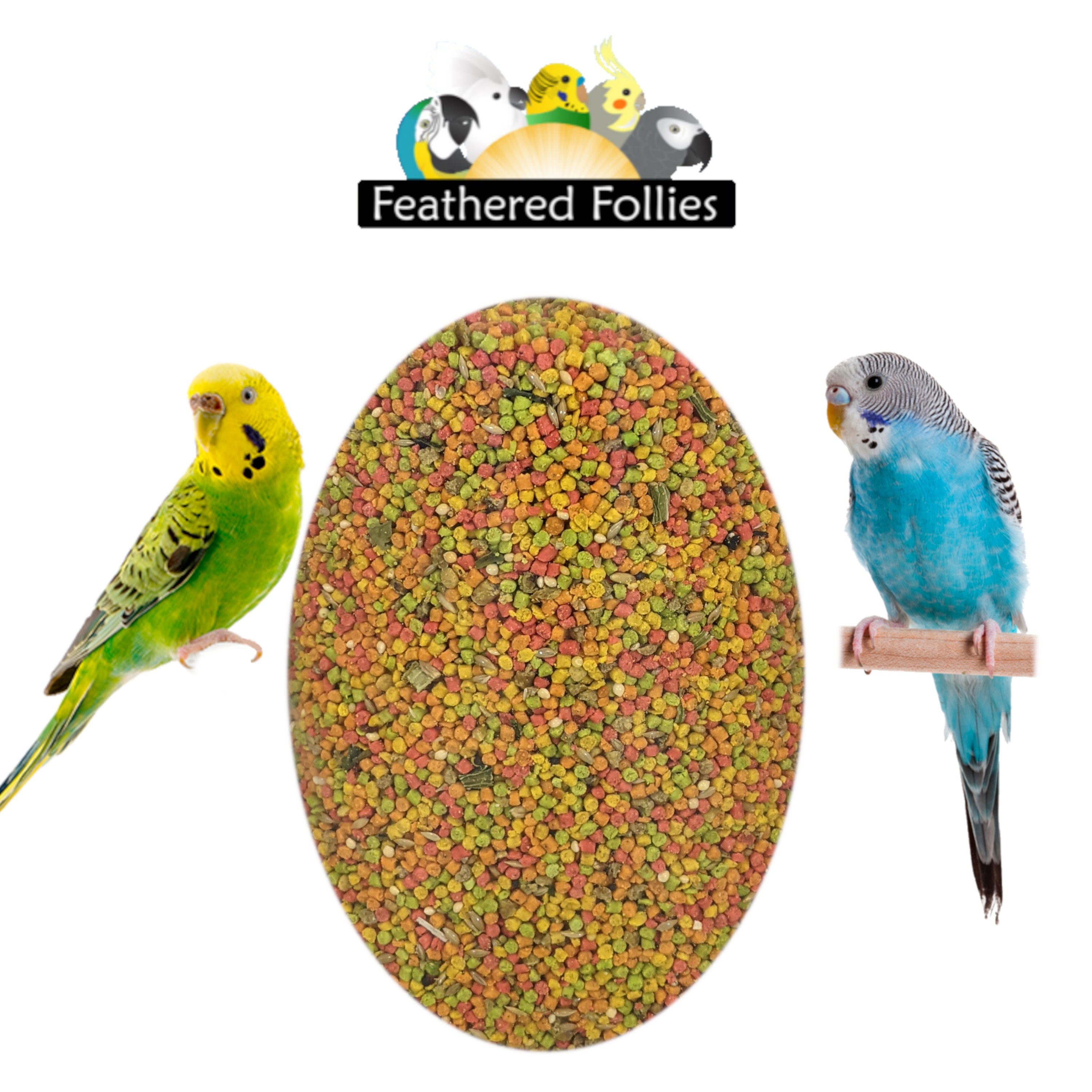 Bulk Feathered Follies Mix Small